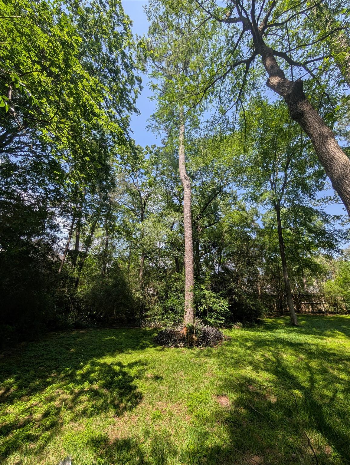 16103 Wimbledon Forest Drive
