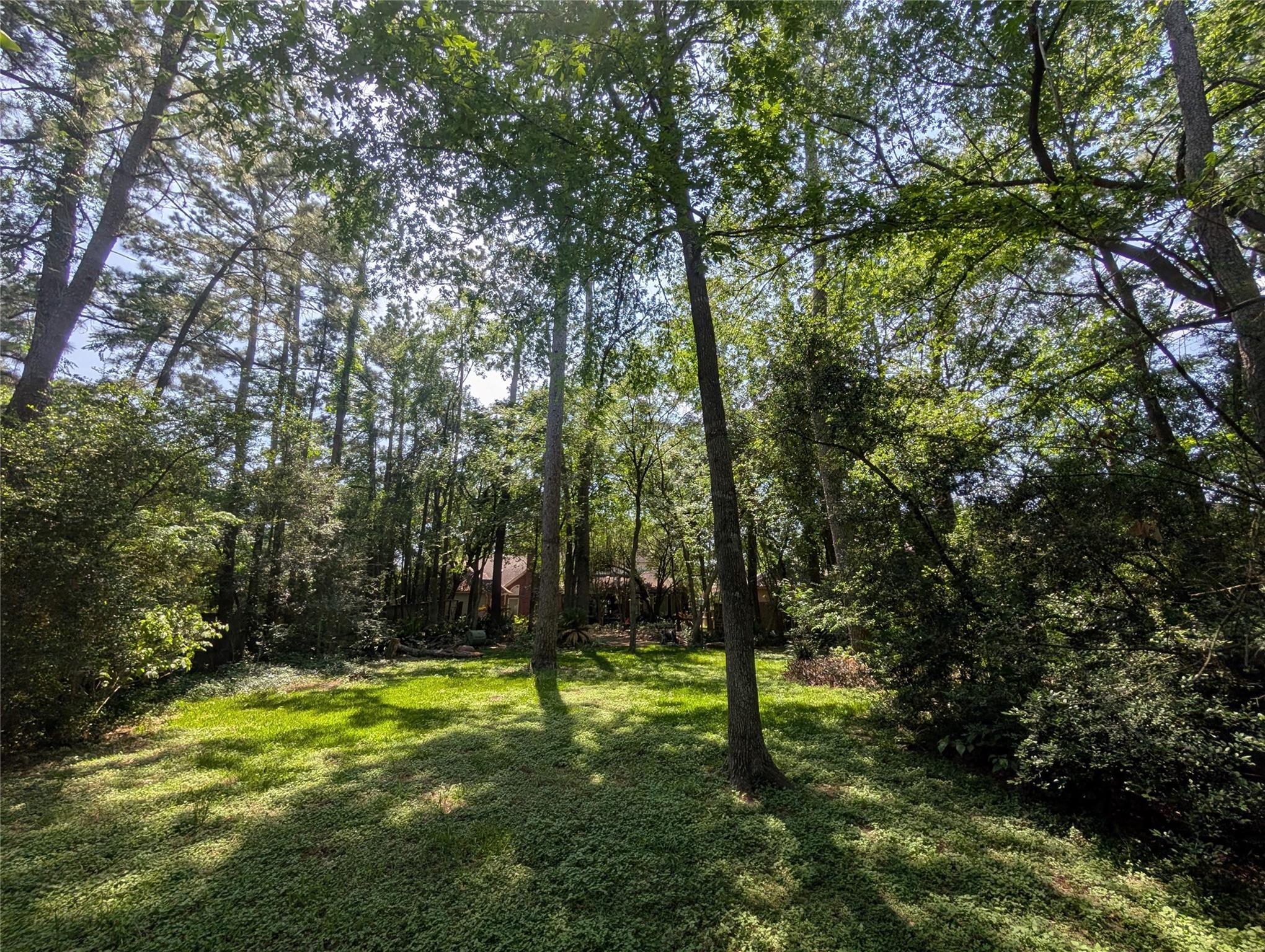 16103 Wimbledon Forest Drive