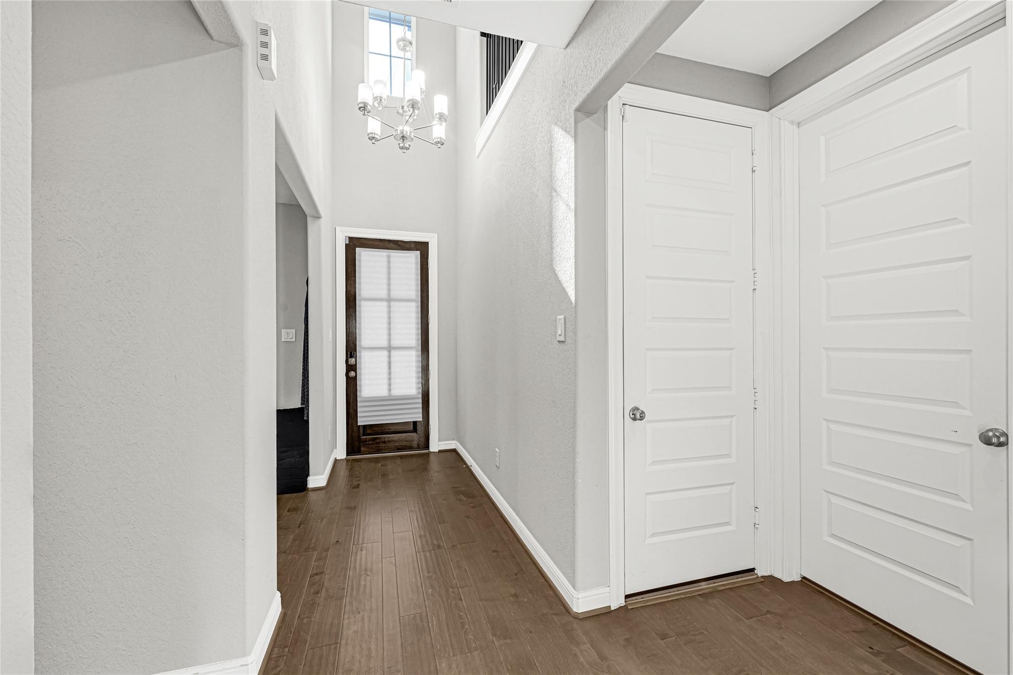 9837 Pearly Everlasting