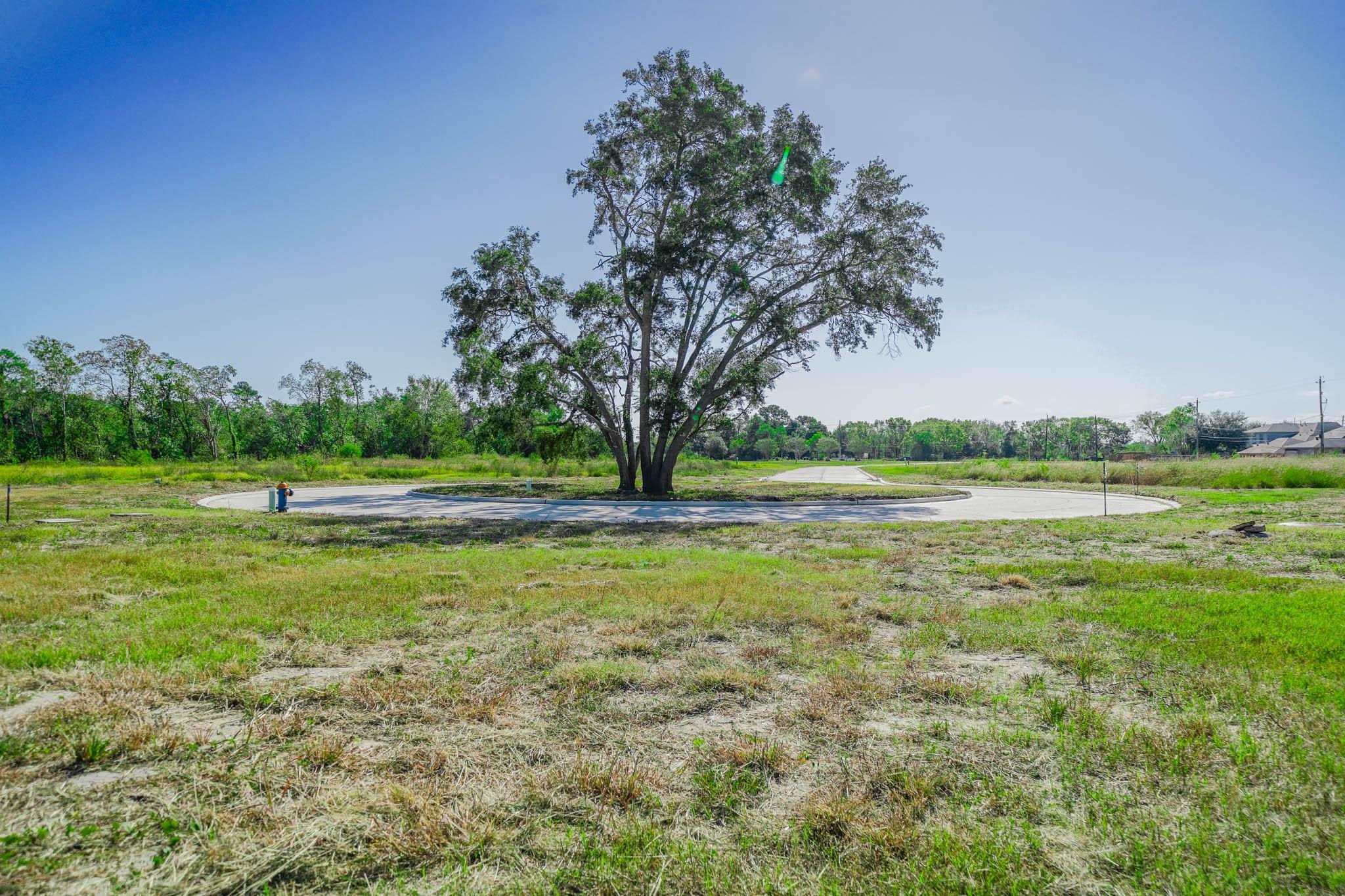 1626 Crown Oaks Court