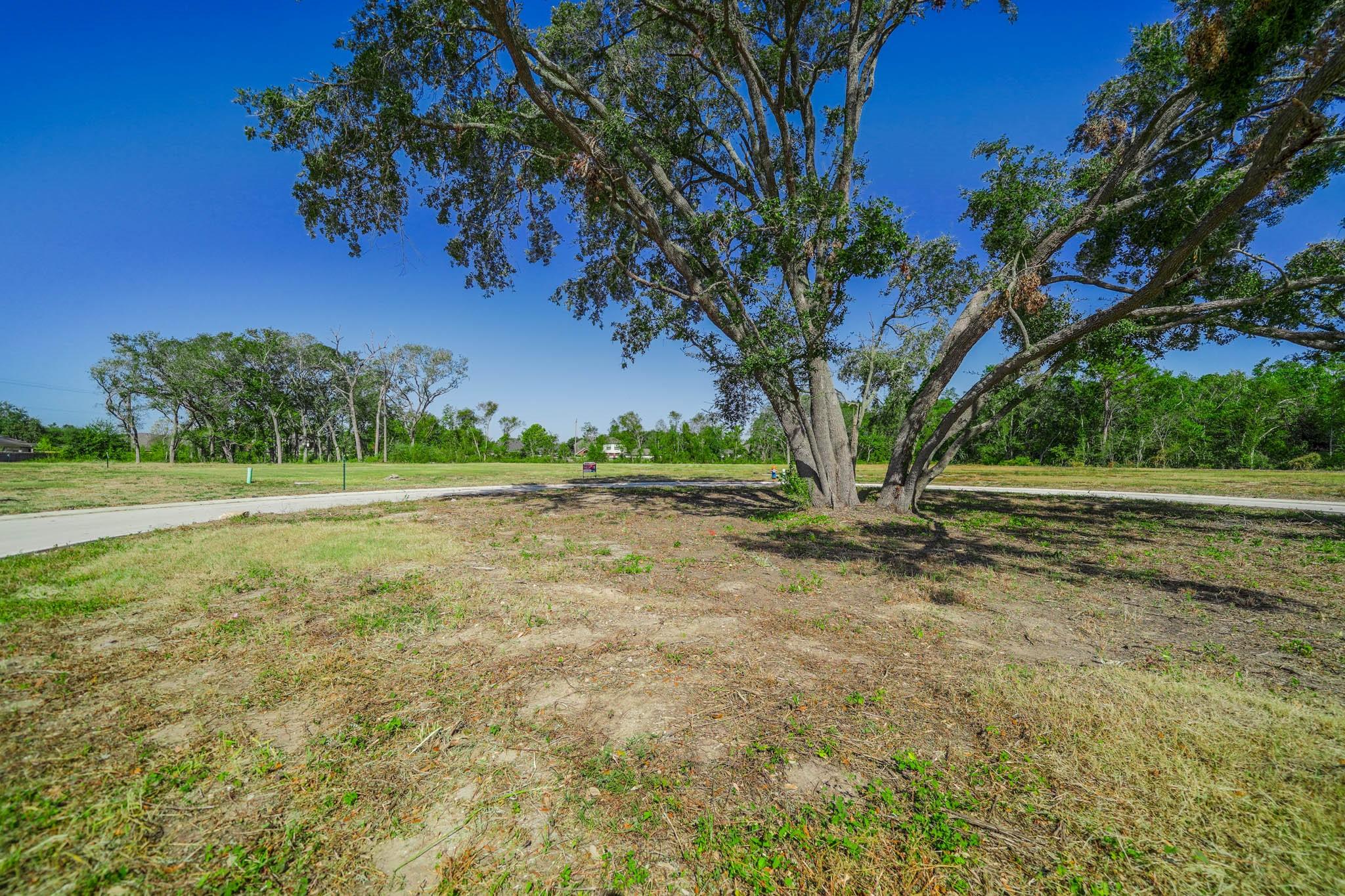 1626 Crown Oaks Court