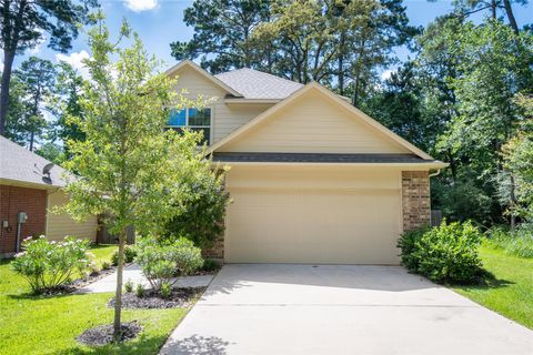 3619 Spy Glass Hill Drive Montgomery TX 77356