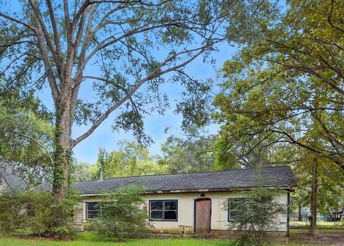 123 Shady Lane