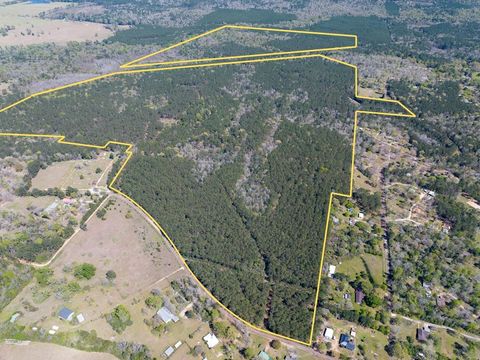 Vacant Land For Sale - 526 Mount Pisgah Road<br/> Tyler County, Woodville, TX 75979