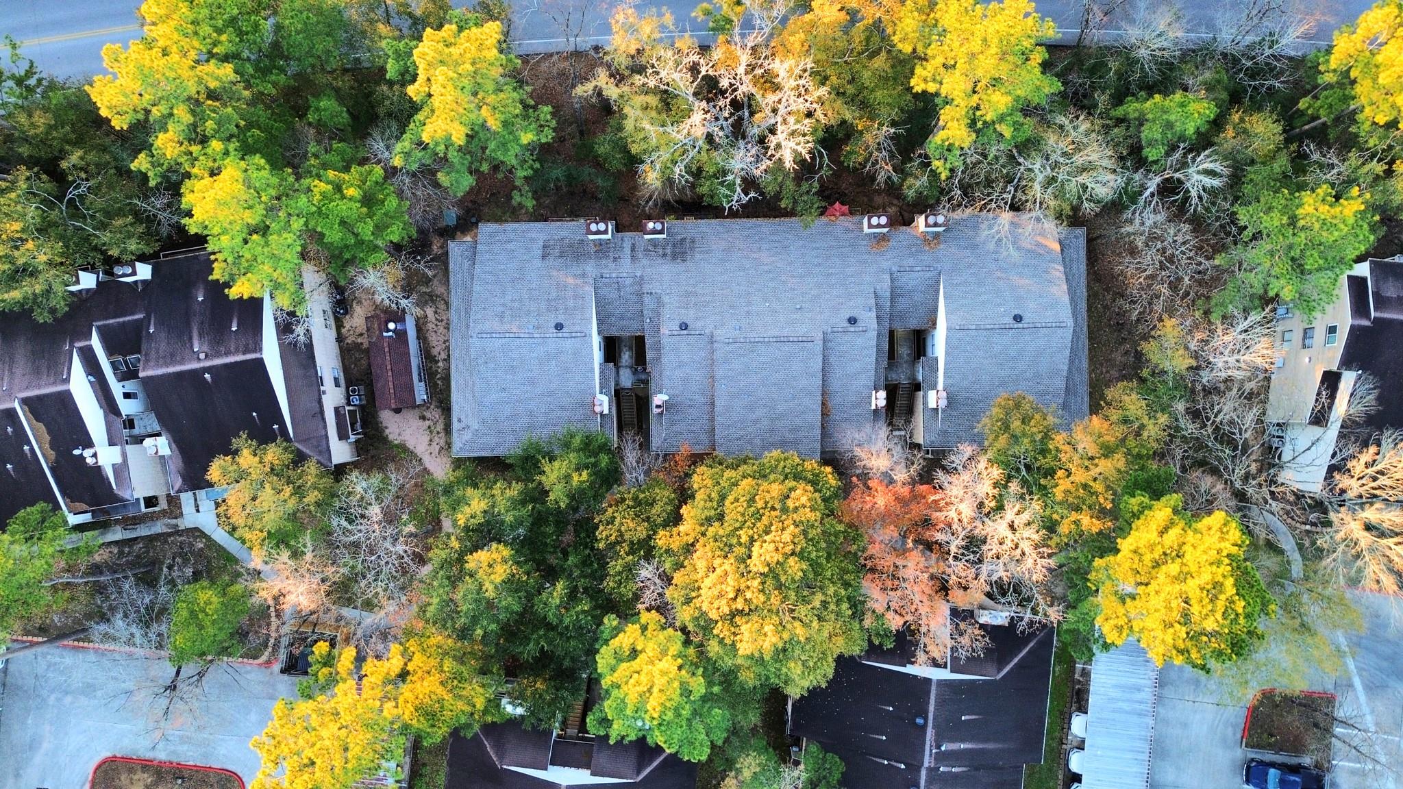 3500 Tangle Brush Drive 1