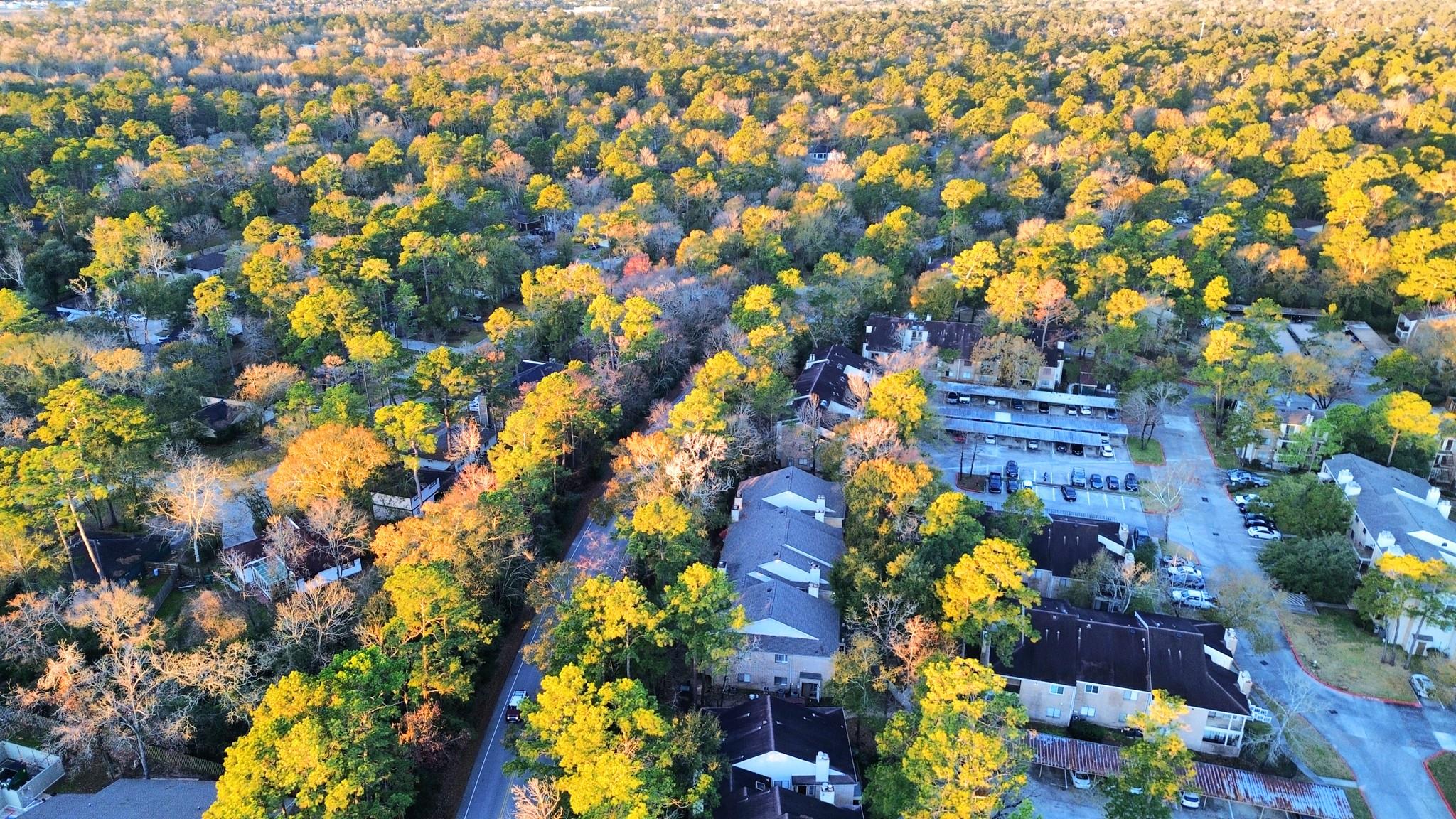 3500 Tangle Brush Drive 1