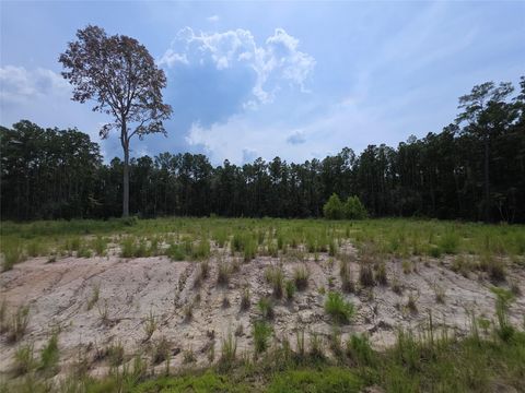 Photo of 139 Rayburn Reserve Drive, Jasper, TX 75931 (MLS # 45290351)