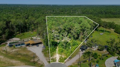 Photo of 23501 Cranefly Lane, New Caney, TX 77357 (MLS # 97976804)