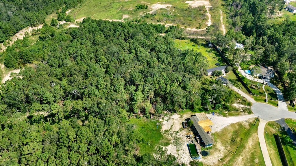 Photo of 23501 Cranefly Lane, New Caney, TX 77357 (MLS # 97976804)