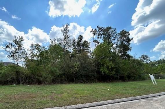 141 Kings Lake Estates Boulevard