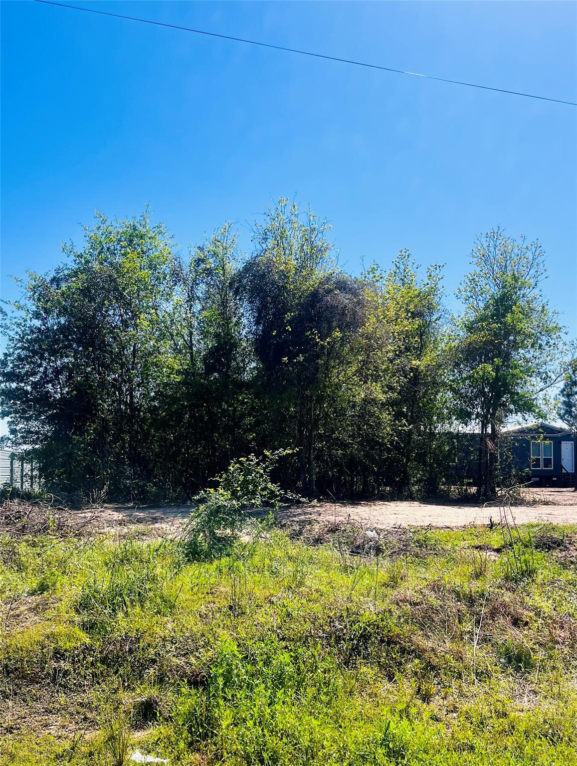 1942 County Road 3542