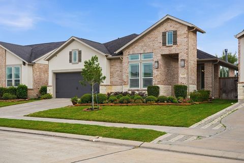 Photo of 13227 Fairfield Arbor Drive, Houston, TX 77059 (MLS # 65012119)