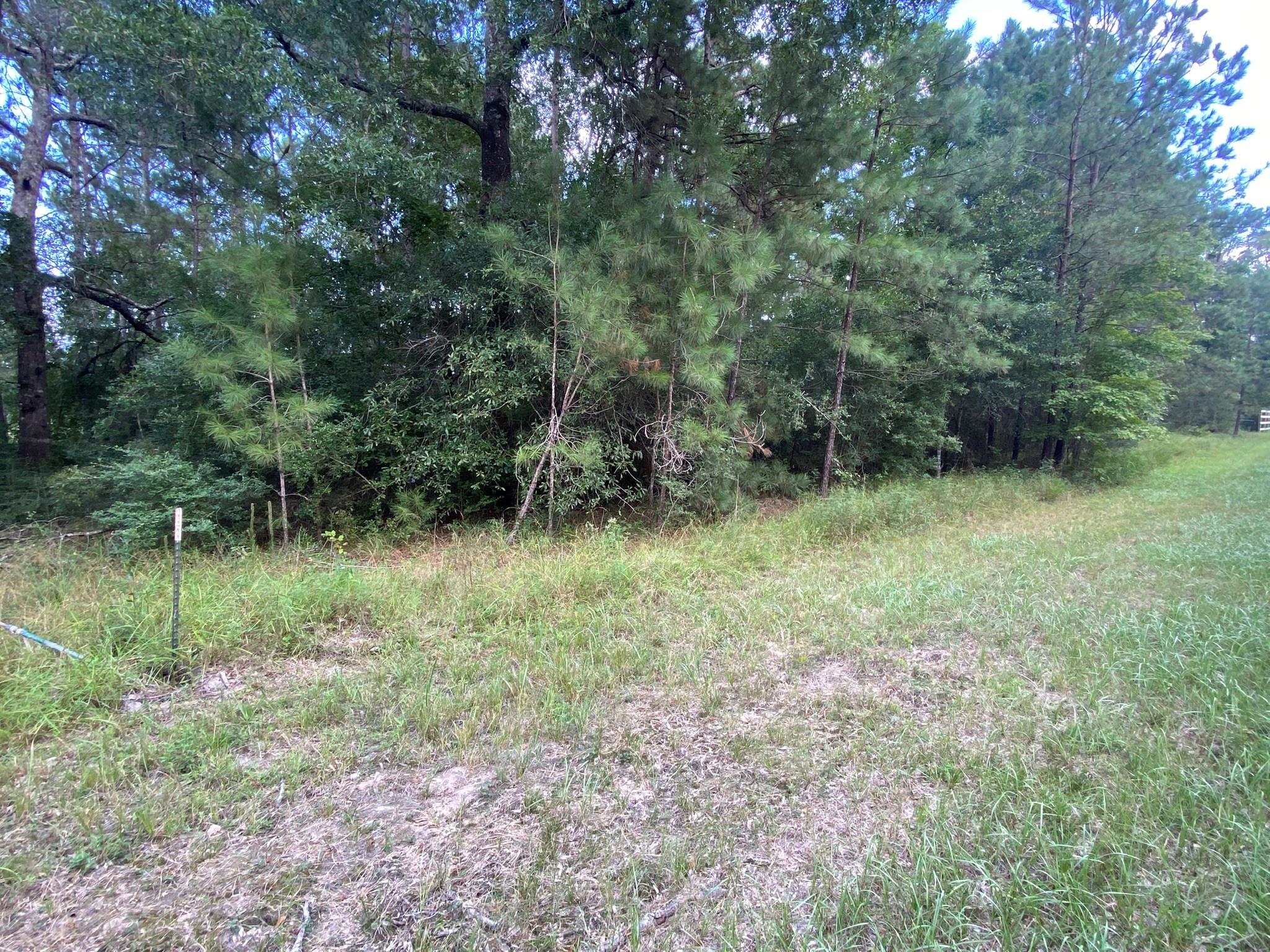 721 Big Buck Drive