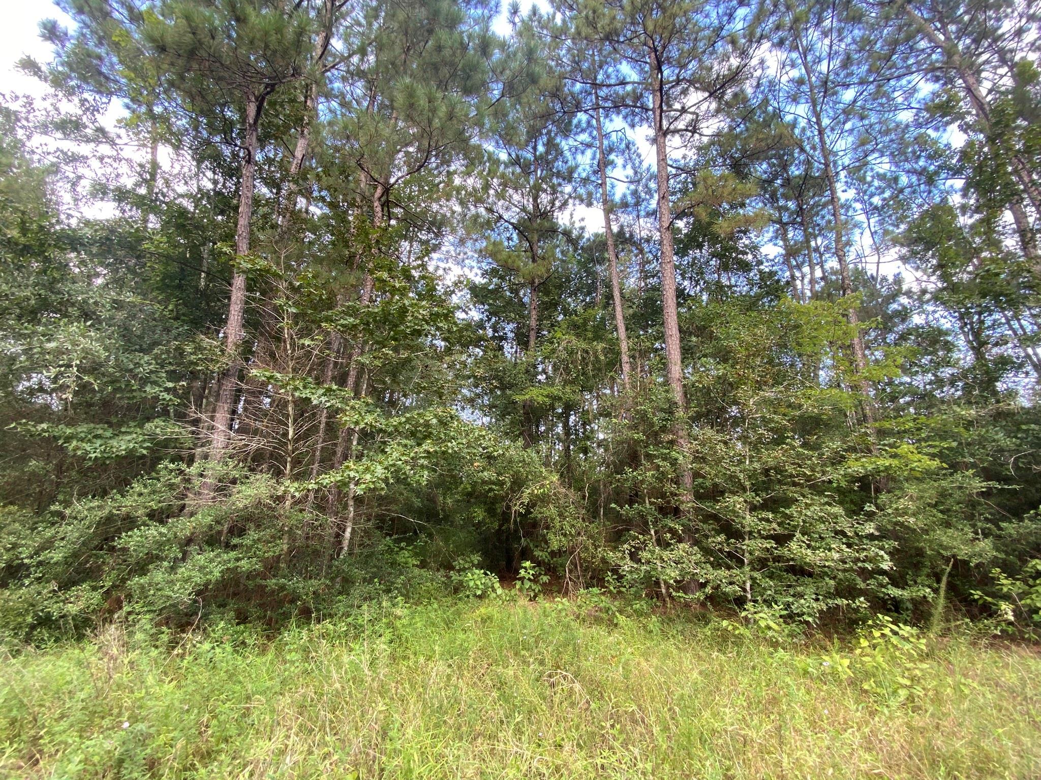 721 Big Buck Drive