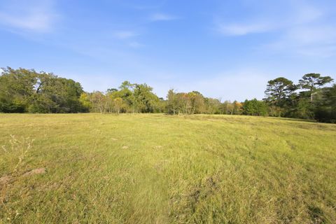 Photo of TBD County Rd 204, Plantersville, TX 77363 (MLS # 63554629)