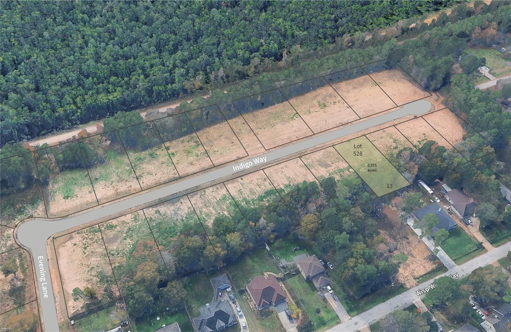 Photo of 528 Indigo Way, Porter, TX 77365 (MLS # 92798008)