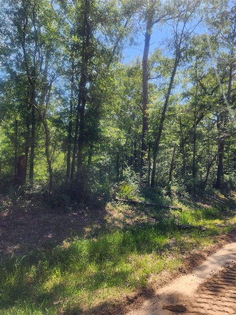 Photo of 1 Cindy Lane, Shepherd, TX 77371 (MLS # 7285639)