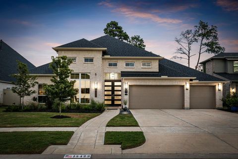 15423 Ringbill Way Magnolia TX 77354