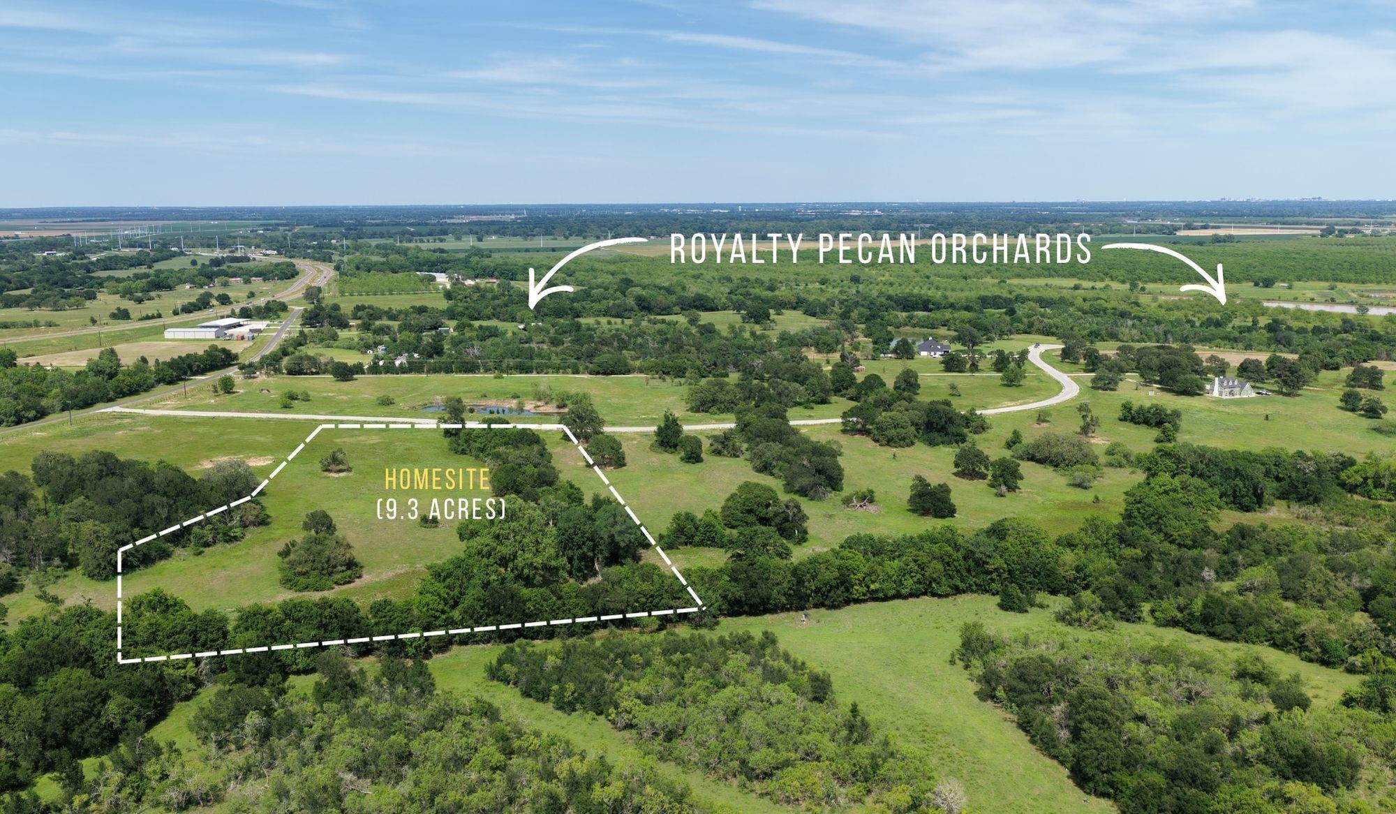 TBD Brazos Court - 9 Acres