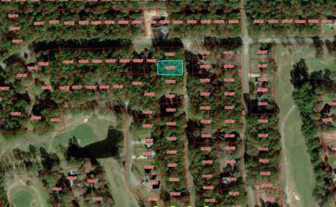 Vacant Land For Sale - 0000 W Wildwood Drive<br/> Tyler County, Village Mills, TX 77663