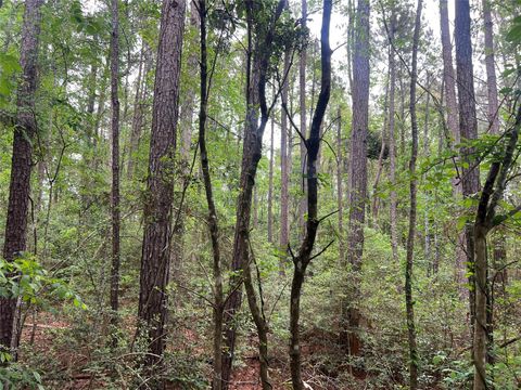 Vacant Land For Sale - TBD The Ole Barney Road<br/> Polk County, Livingston, TX 77351