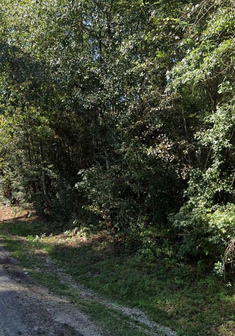 15746 Walnut Drive Montgomery TX 77356