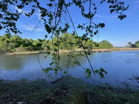 Vacant Land For Sale - TBD10 Coral Gables<br/> Trinity County, Trinity, TX 75862