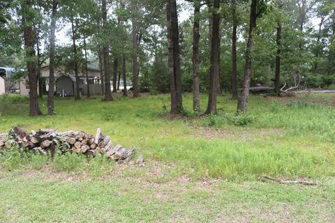 Photo of TBD Belize Drive, Point Blank, TX 77364 (MLS # 95673338)