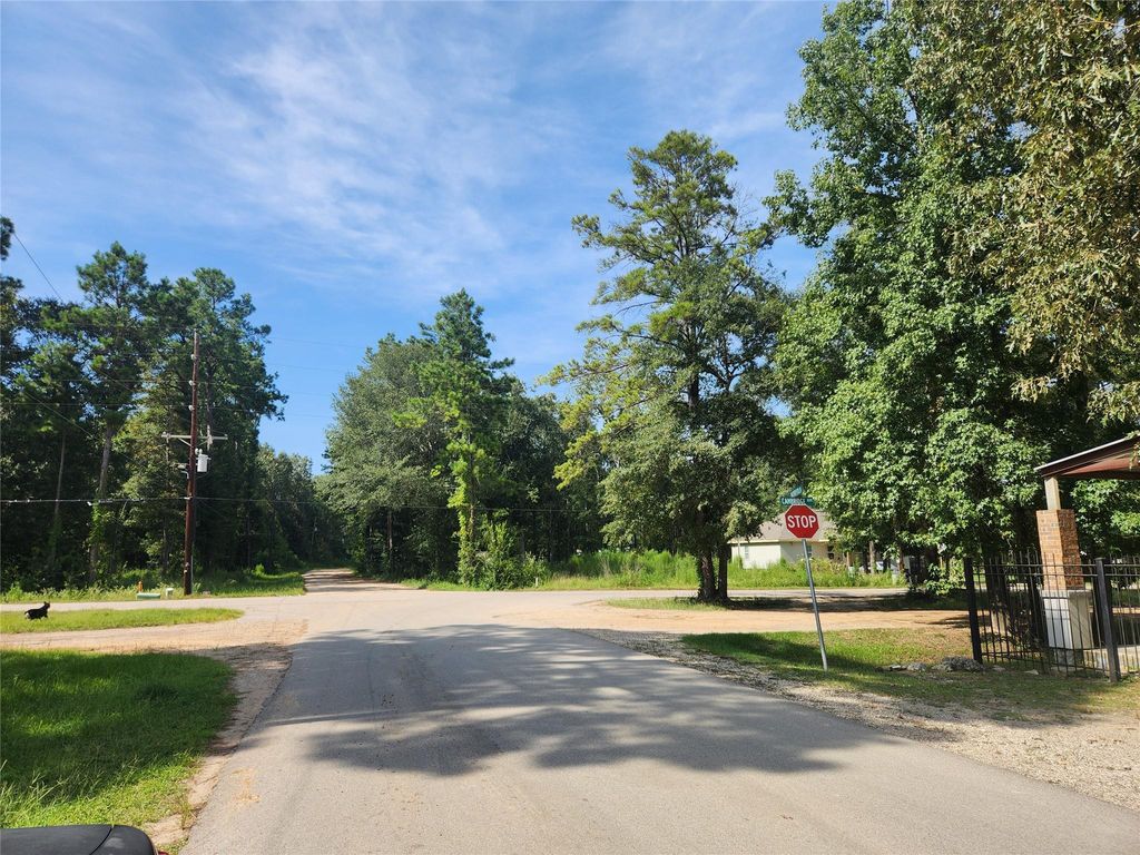 Photo of 19094 Norfolk Ct, New Caney, TX 77357 (MLS # 73248408)