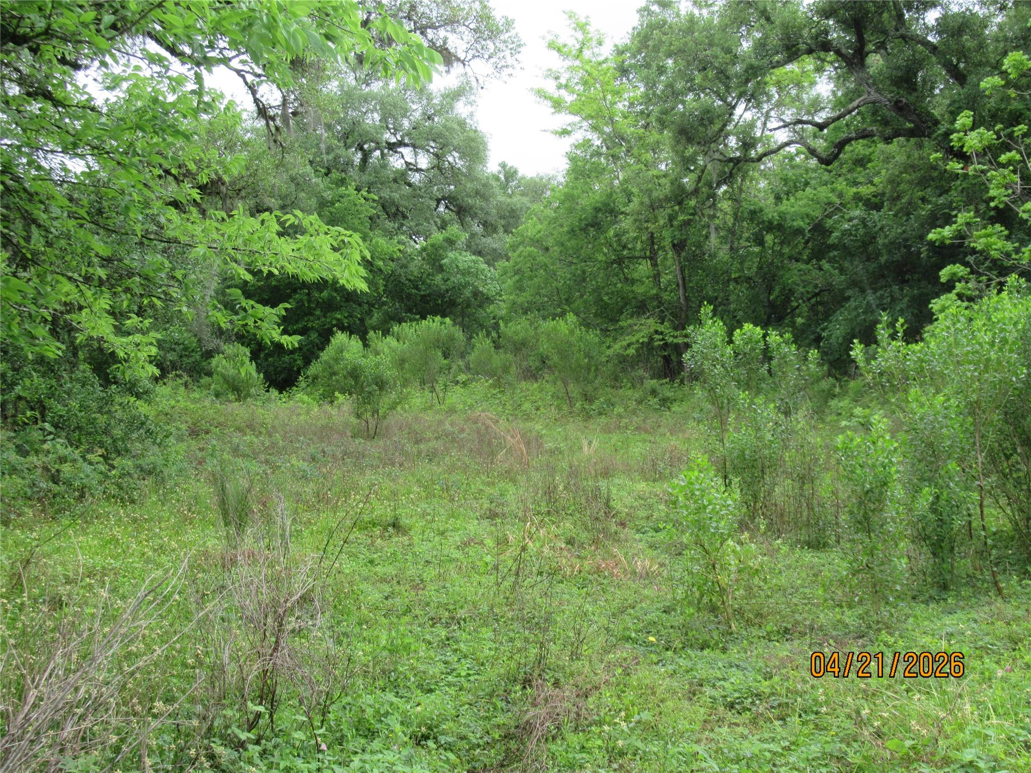 8705 Stephen F Austin Road
