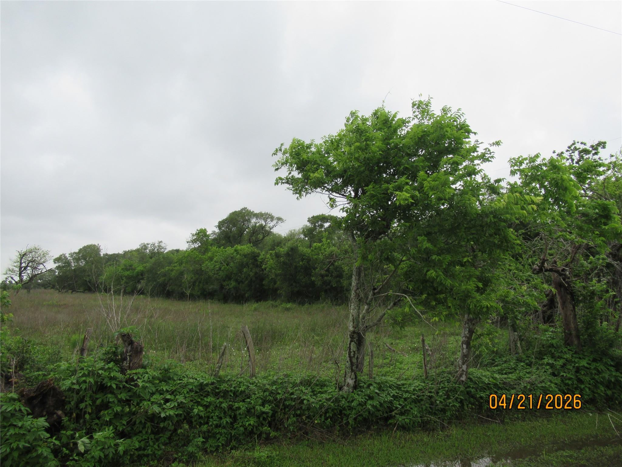 8705 Stephen F Austin Road