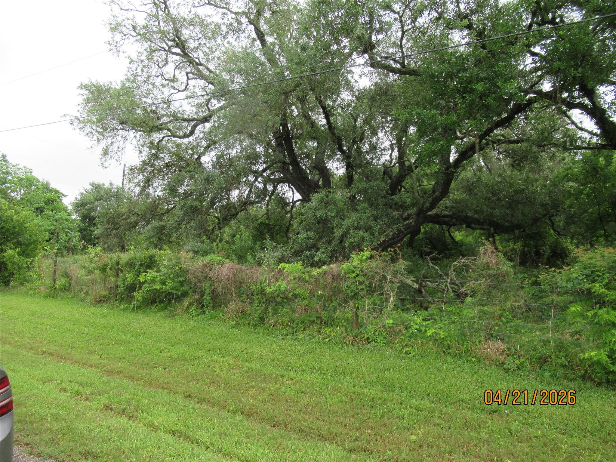 8705 Stephen F Austin Road