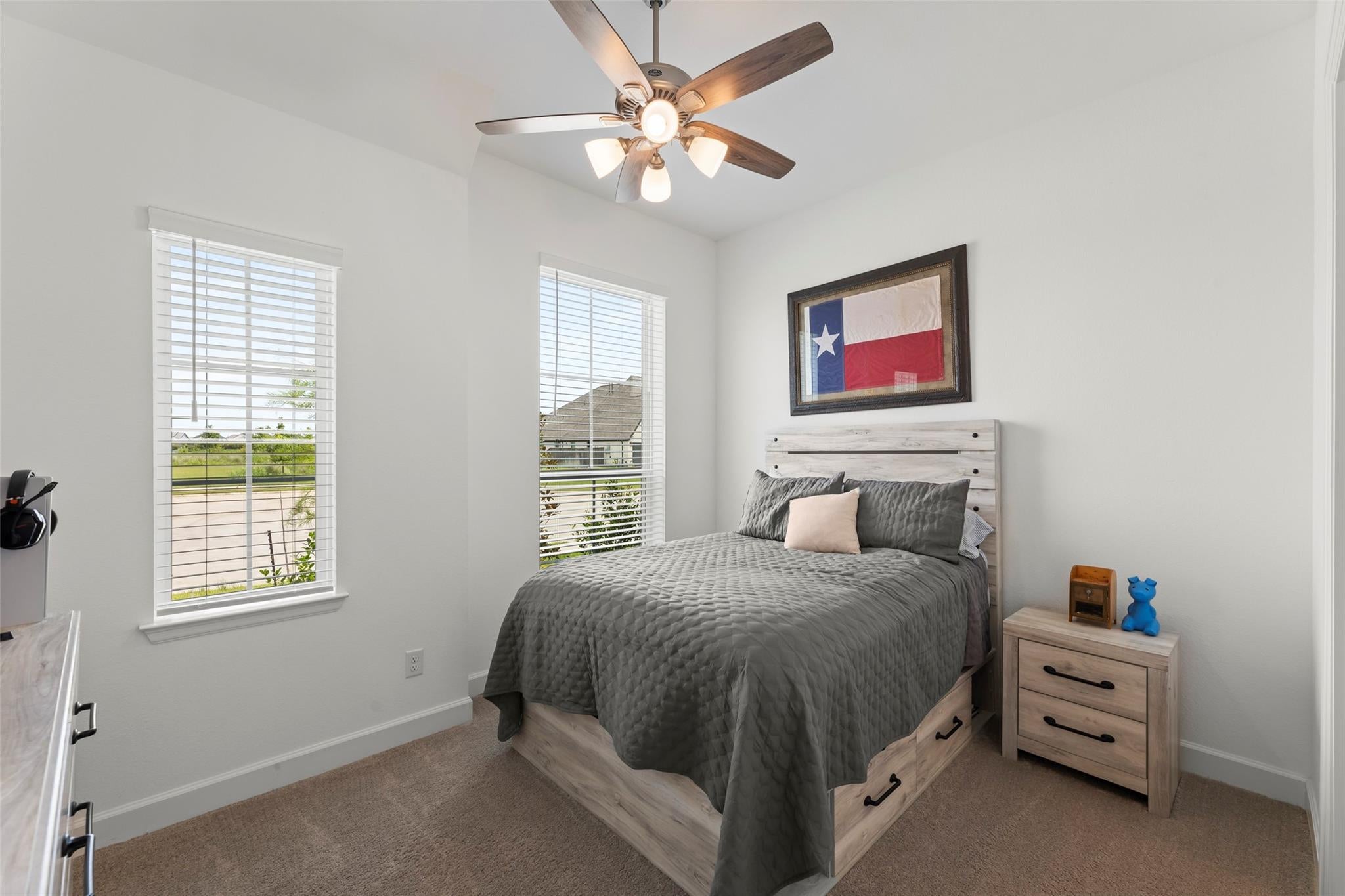 27319 Texas Bluebonnet Trail
