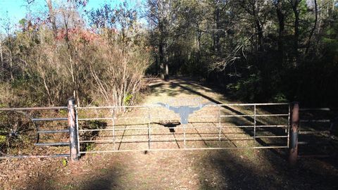 Vacant Land For Sale - TBD Fm 1280<br/> Lovelady, TX 75851