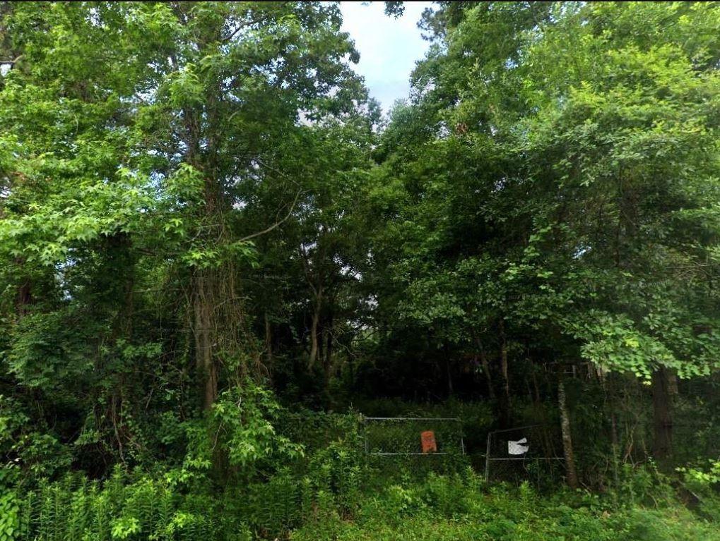 Photo of 21208 Lyndall Lane, Porter, TX 77365 (MLS # 43698911)