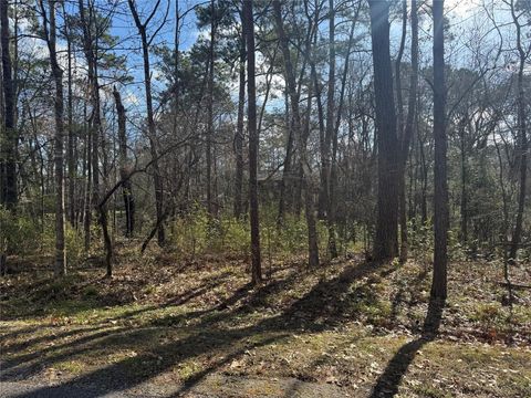 Photo of 11 S Pine Harbour Drive, Coldspring, TX 77331 (MLS # 33043705)
