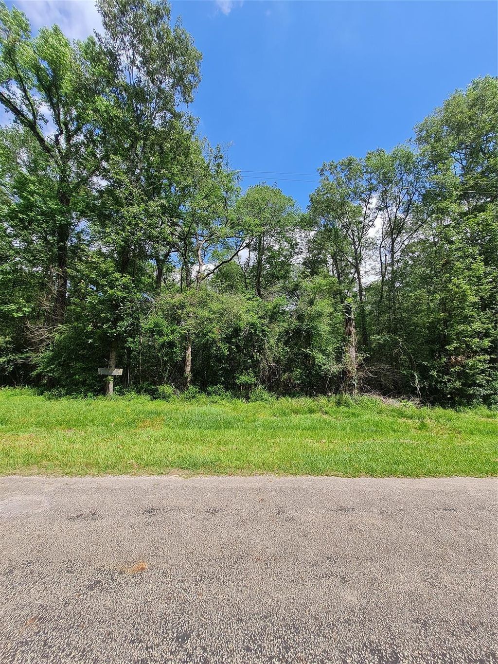 Photo of TBD Holly Ln, New Caney, TX 77537 (MLS # 40015608)