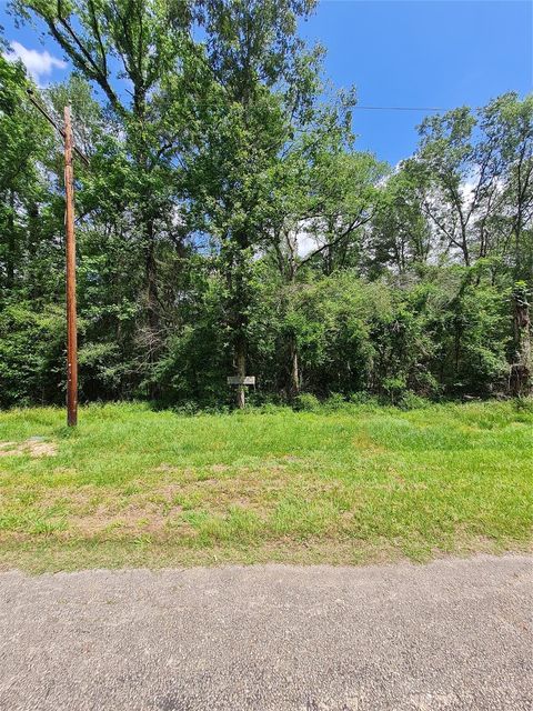 Photo of TBD Holly Ln, New Caney, TX 77537 (MLS # 40015608)