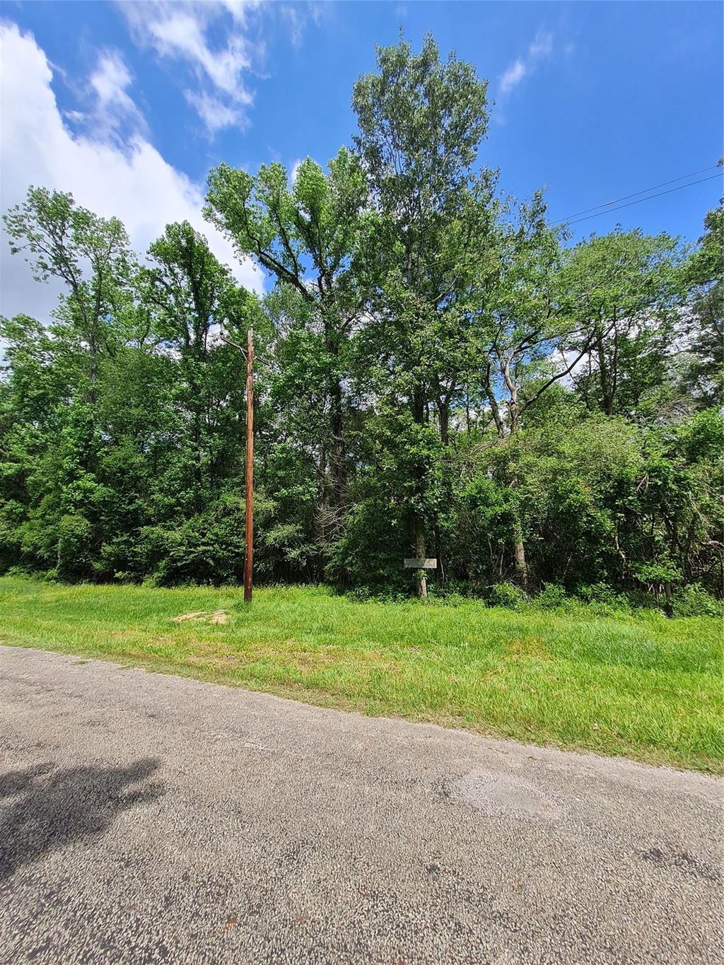 Photo of TBD Holly Ln, New Caney, TX 77537 (MLS # 40015608)