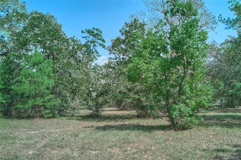 Vacant Land For Sale - 16039 Yaupon Berry Dr<br/> Plantersville, TX 77363