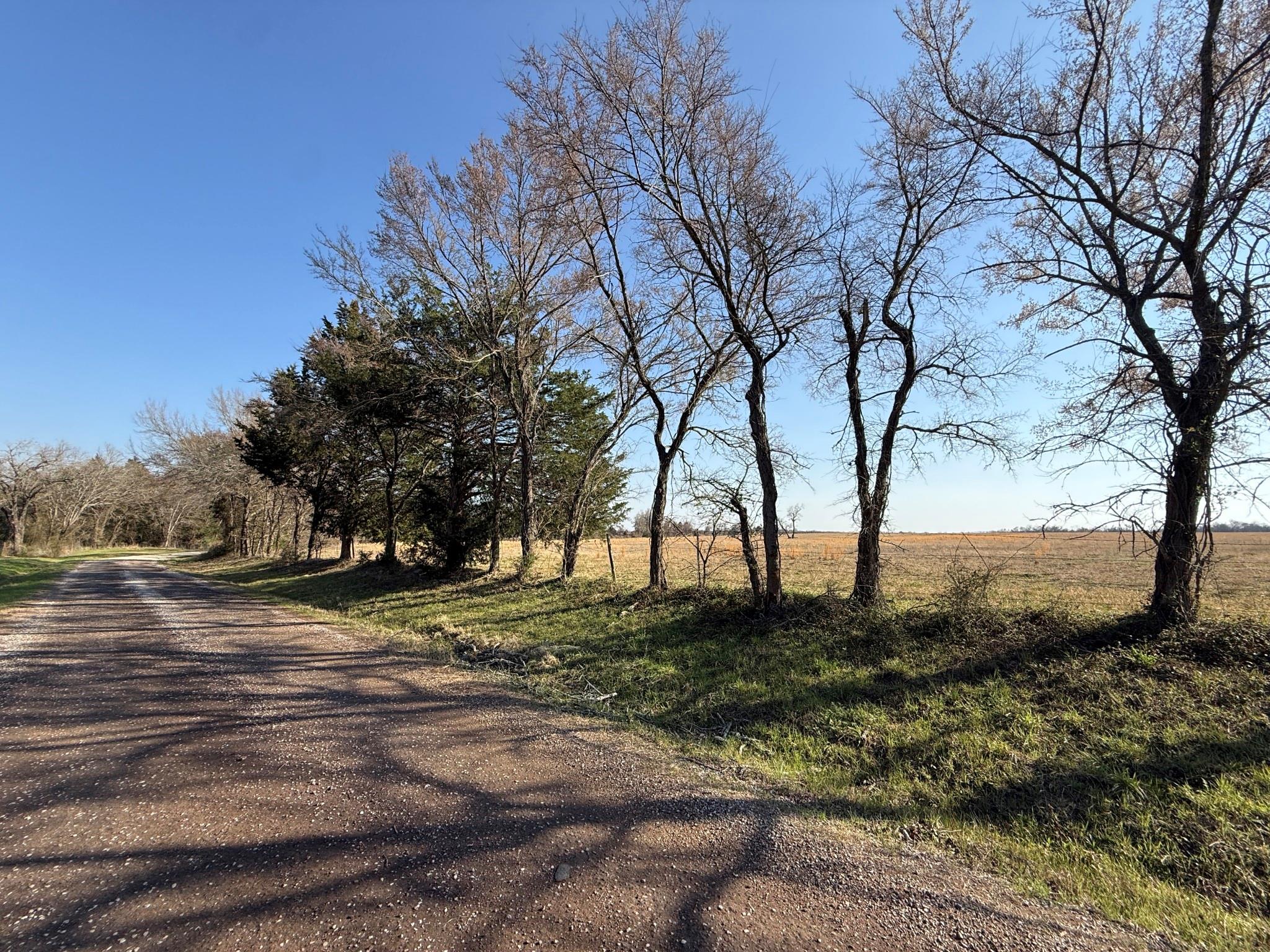 TBD Tract 5 County Road 445