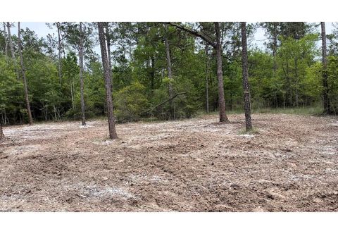 Vacant Land For Sale - 00000 Langham<br/> Hardin County, Kountze, TX 77625