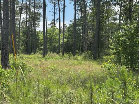 Photo of 8 Private Road 6028 Tract 1-8, Brookeland, TX 75931 (MLS # 94565823)