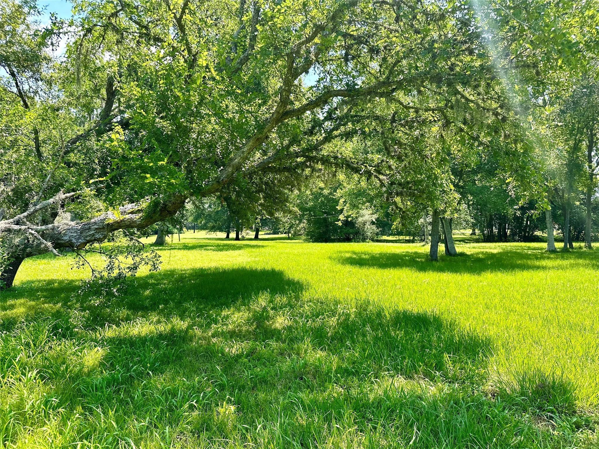 1911 Huntington Lane