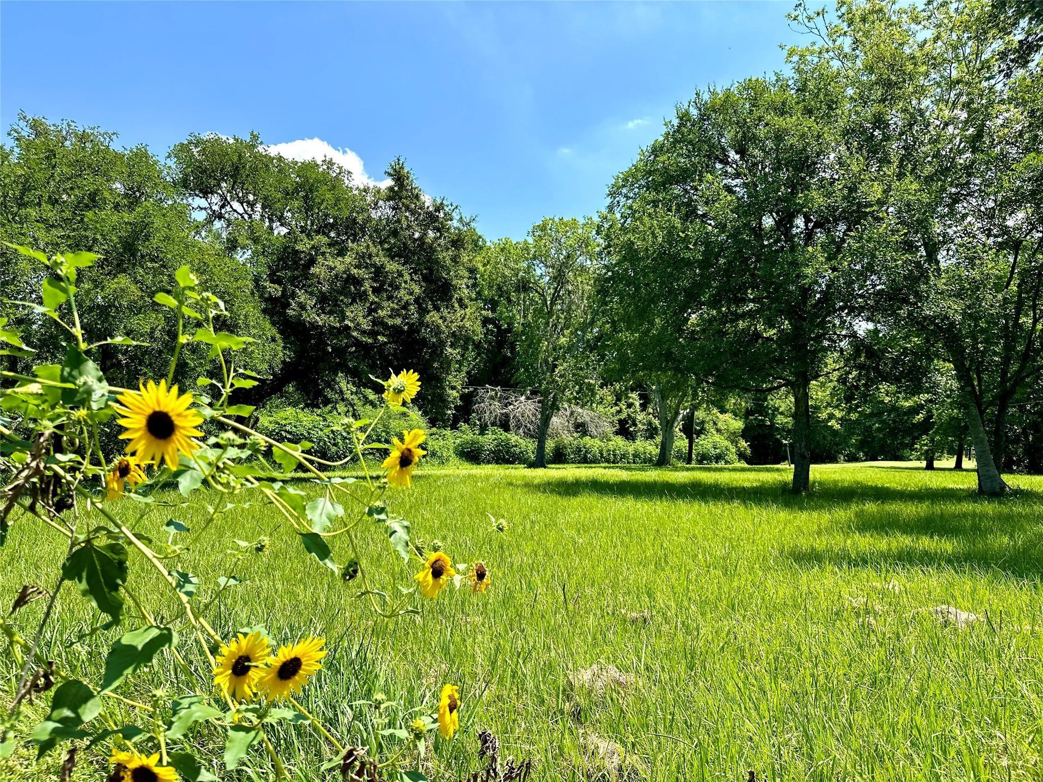 1911 Huntington Lane