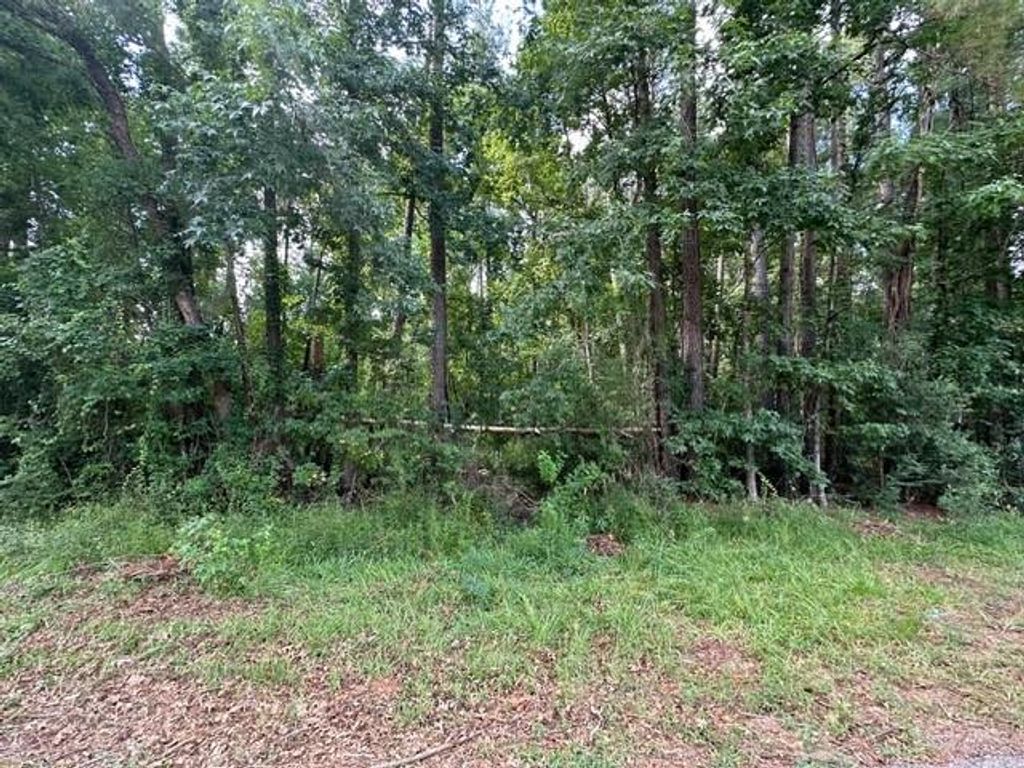 Photo of 0 Ramblewood, Magnolia, TX 77354 (MLS # 95087738)