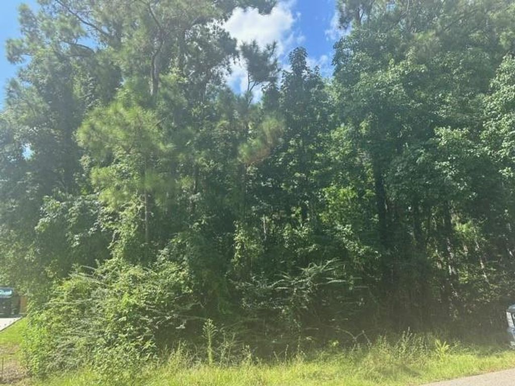 Photo of 0 Ramblewood, Magnolia, TX 77354 (MLS # 95087738)