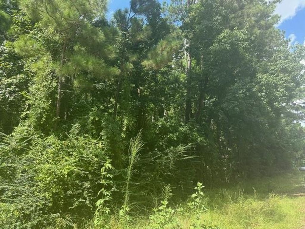 Photo of 0 Ramblewood, Magnolia, TX 77354 (MLS # 95087738)