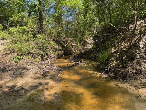 Photo of 2954 Cr 2170, Grapeland, TX 75844 (MLS # 90841102)