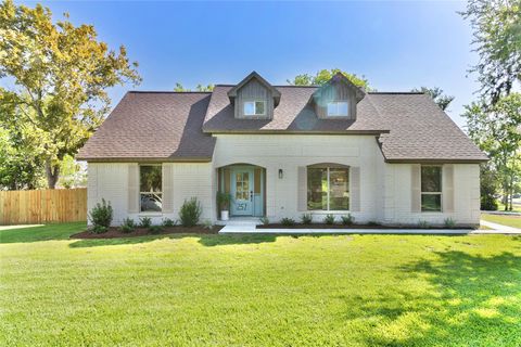 Photo of 257 Briarcreek Street, Richwood, TX 77531 (MLS # 24507879)